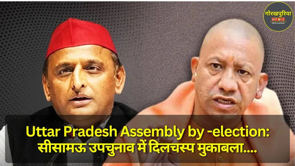 Uttar Pradesh Assembly by -election: सीसामऊ उपचुनाव में दिलचस्प मुकाबला, सपा के गढ़ में भाजपा की चुनौती, अखिलेश ने खोले पत्ते