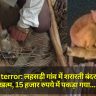 Monkey terror: लहसड़ी गांव में शरारती बंदर की दस्तक खत्म, 15 हजार रुपये में पकड़ा गया