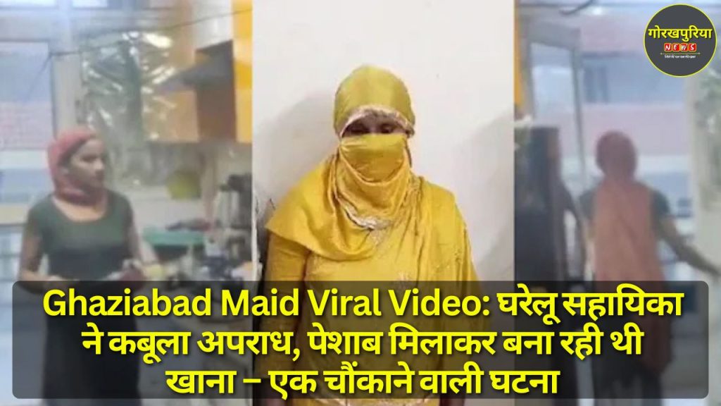 Ghaziabad Maid Viral Video: घरेलू सहायिका ने कबूला अपराध, पेशाब मिलाकर बना रही थी खाना – एक चौंकाने वाली घटना