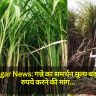 Kushinagar News: गन्ने का समर्थन मूल्य बढ़ाकर 450 रुपये करने की मांग