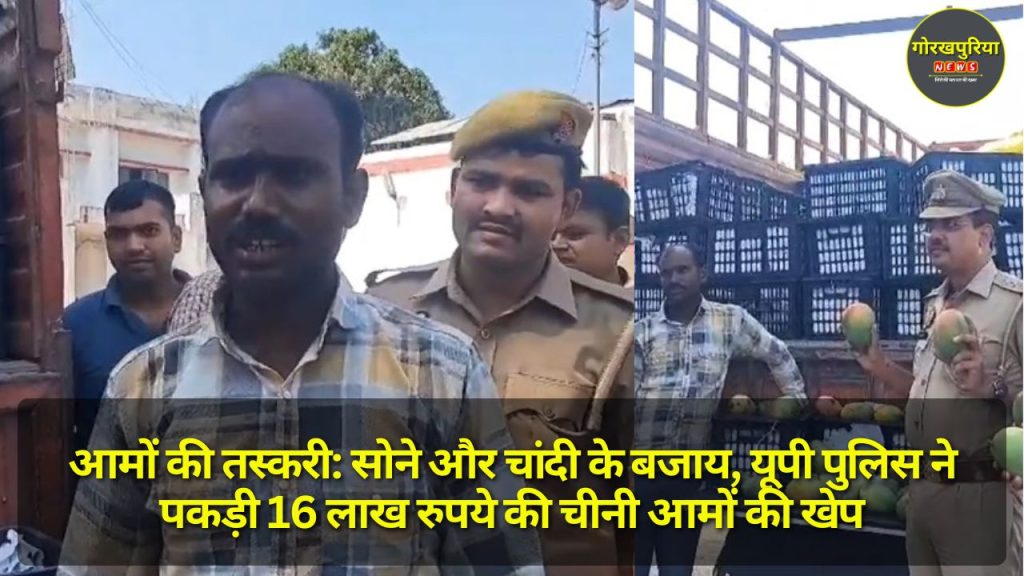 Mango Smuggling: सोने और चांदी के बजाय, यूपी पुलिस ने पकड़ी 16 लाख रुपये की चीनी आमों की खेप