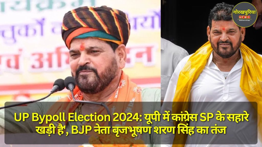 UP Bypoll Election 2024: यूपी में कांग्रेस SP के सहारे खड़ी है', BJP नेता बृजभूषण शरण सिंह का तंज