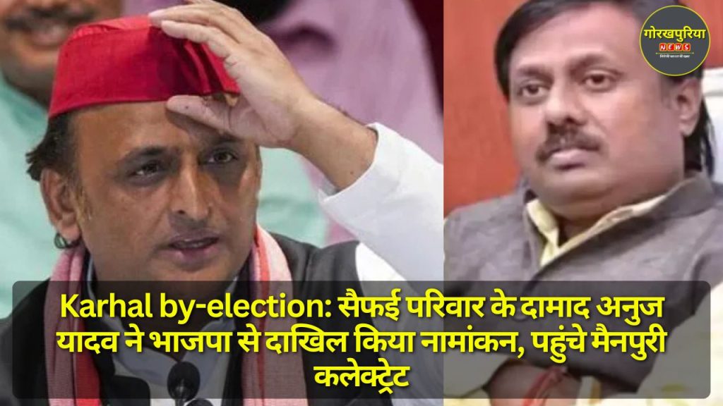 Karhal by-election: सैफई परिवार के दामाद अनुज यादव ने भाजपा से दाखिल किया नामांकन, पहुंचे मैनपुरी कलेक्ट्रेट