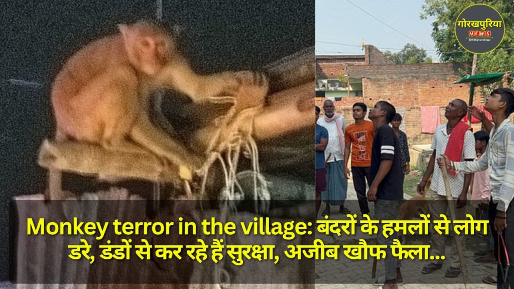 Monkey terror in the village: बंदरों के हमलों से लोग डरे, डंडों से कर रहे हैं सुरक्षा, अजीब खौफ फैला