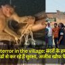 Monkey terror in the village: बंदरों के हमलों से लोग डरे, डंडों से कर रहे हैं सुरक्षा, अजीब खौफ फैला