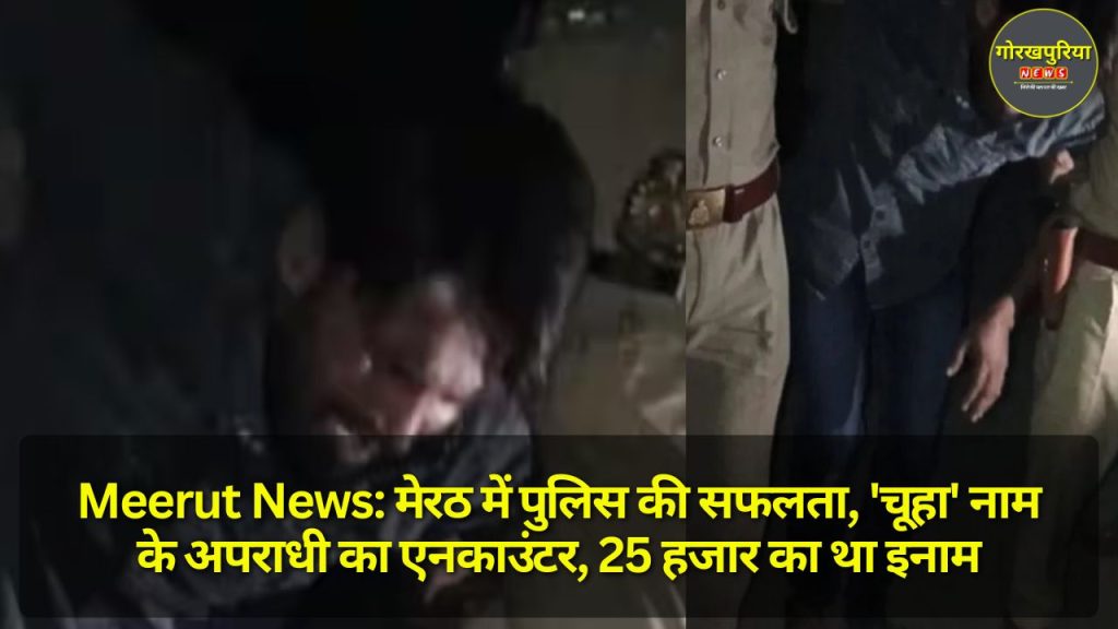 Meerut News: मेरठ में पुलिस की सफलता, 'चूहा' नाम के अपराधी का एनकाउंटर, 25 हजार का था इनाम