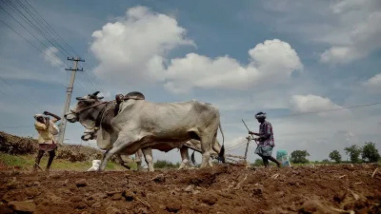 Maharajganj: किसान दिवस पर जंगली जानवरों और पीएम सम्मान निधि का मुद्दा उठाया गया