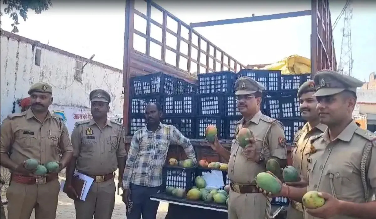 Mango Smuggling: सोने और चांदी के बजाय, यूपी पुलिस ने पकड़ी 16 लाख रुपये की चीनी आमों की खेप