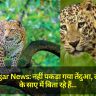 Kushinagar News: नहीं पकड़ा गया तेंदुआ, लोग रातें डर के साए में बिता रहे हैं